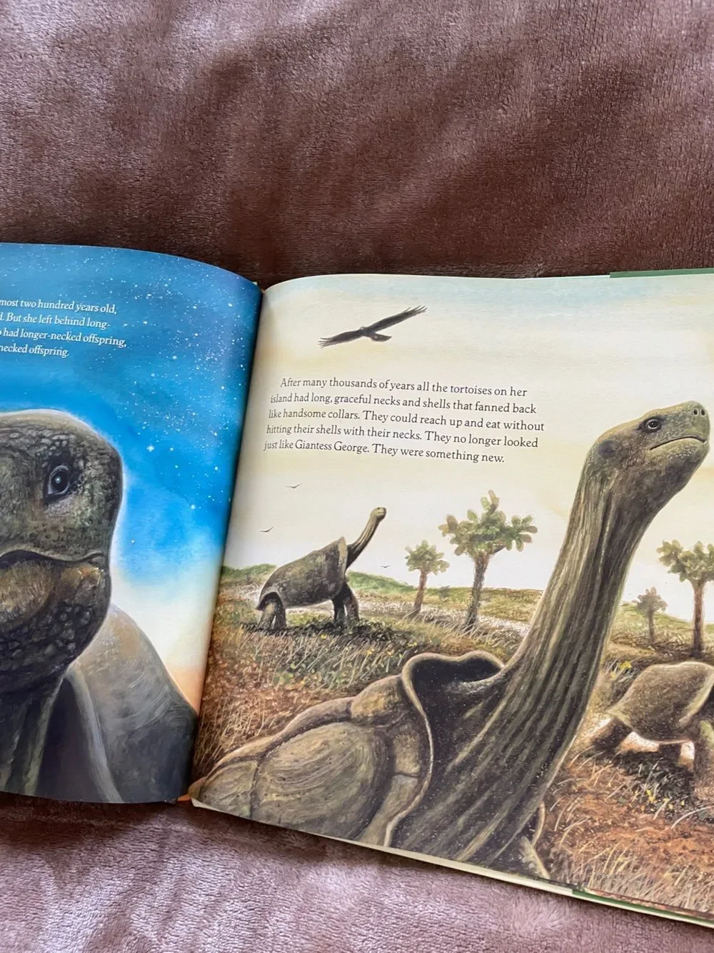 Harper Collins Jean Craighead George Galàpagos George Picture Book Science